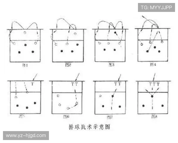 北京排球队整体压制战术解析与比赛表现的深度剖析